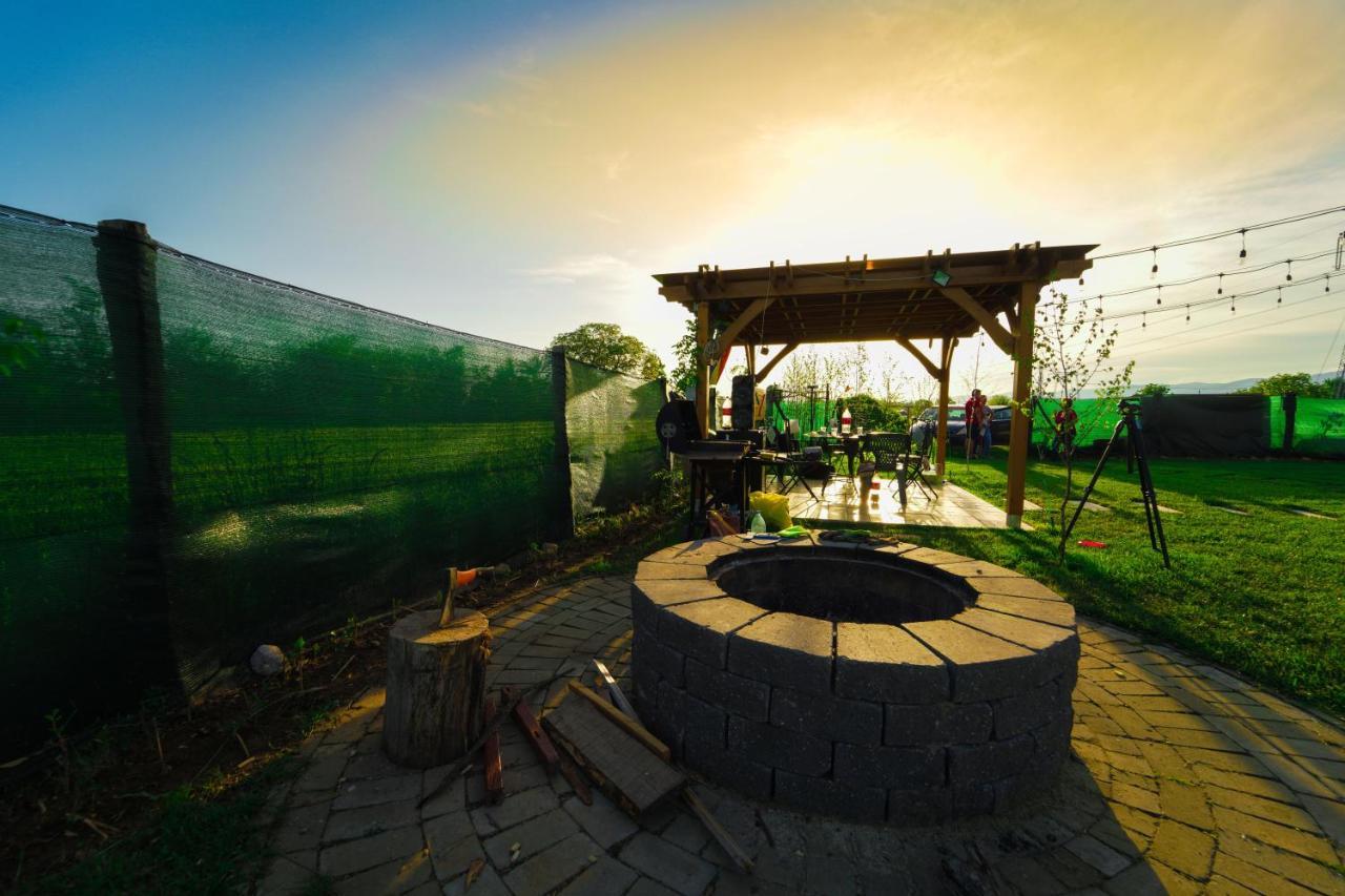 Tiny House - Baia De Fier Otel Dış mekan fotoğraf