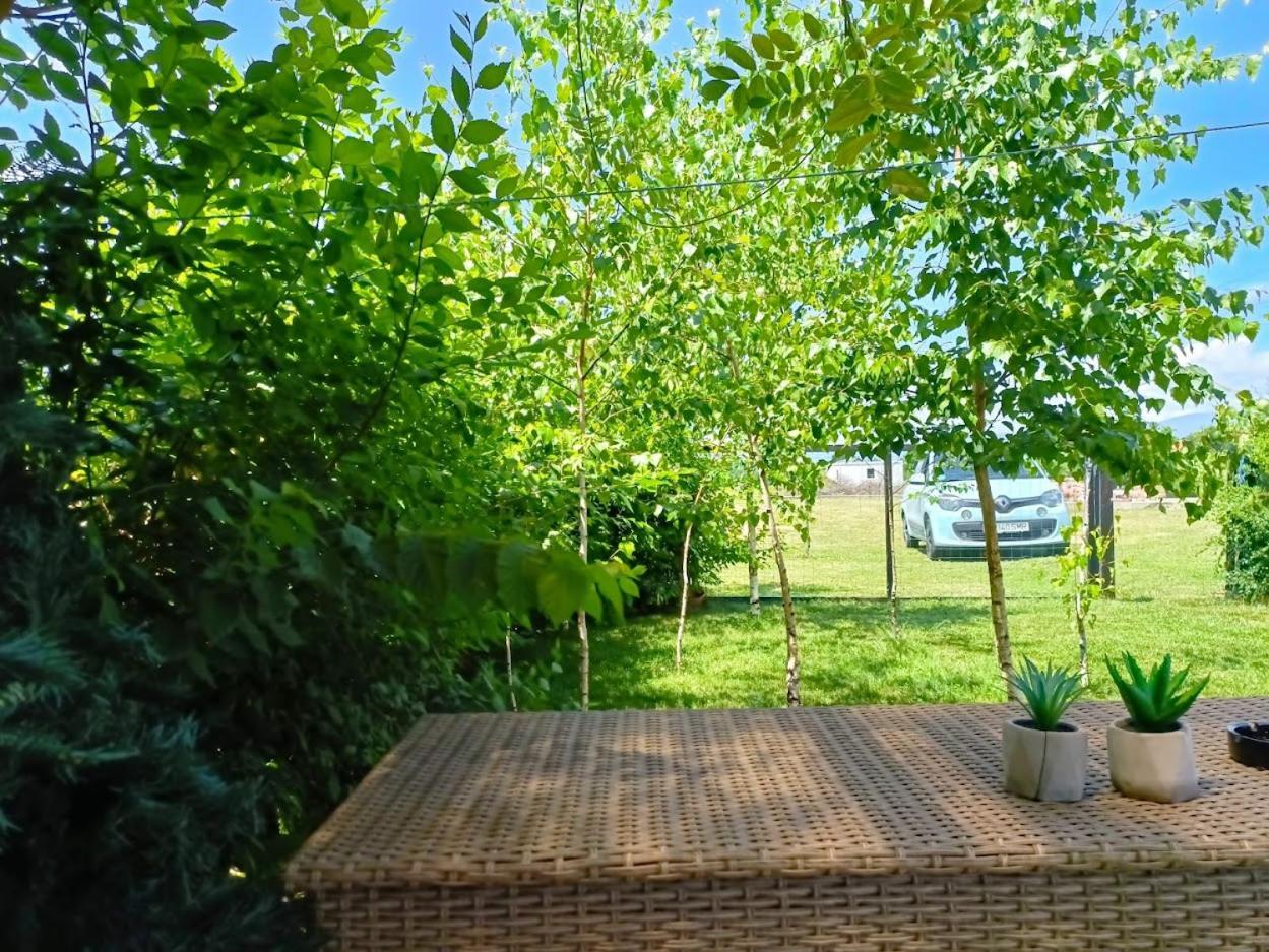 Tiny House - Baia De Fier Otel Dış mekan fotoğraf